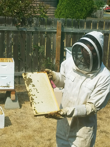 Miss bee haven honey